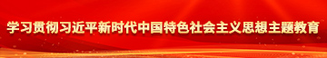 鸡巴马上放进去免费视频网站学习贯彻习近平新时代中国特色社会主义思想主题教育