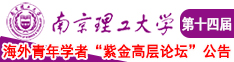 好认识操逼视频南京理工大学第十四届海外青年学者紫金论坛诚邀海内外英才！